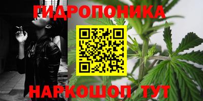 амф Севастополь