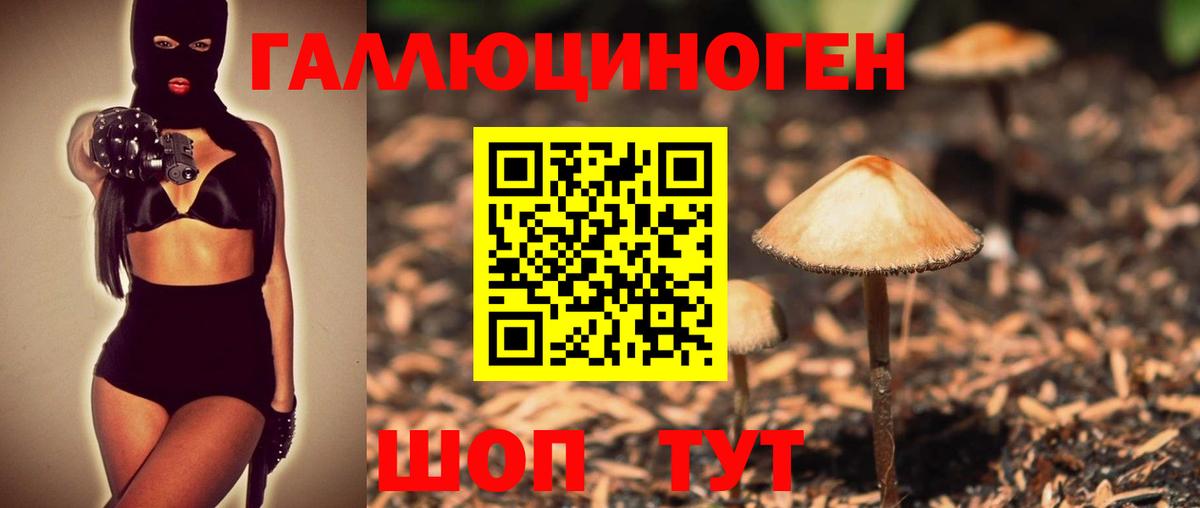 Псилоцибиновые грибы Psilocybine cubensis Кинешма